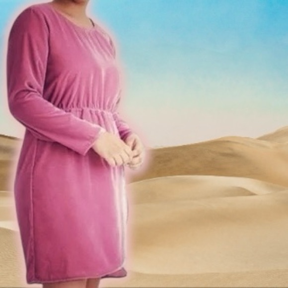 J. Crew Factory Pink ‘Velvet Tulip-Hem Dress’ Size 2 - Picture 1 of 14